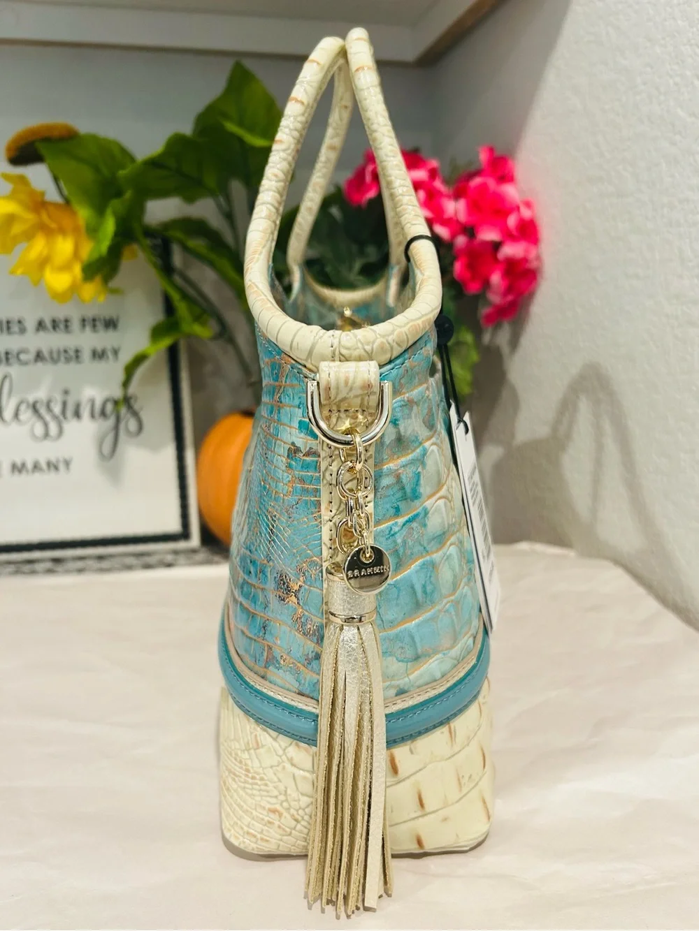 Brahmin Serendipity Schulz Small Elaine with Tassel